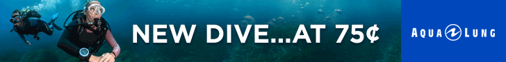 Purchase any qualifying Aqua Lung regulator & octopus* and receive an i100 Dive Computer for 75¢ or credit (US$195.00) towards an Aqua Lung computer upgrade.