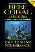 Reef Coral Identification -- You know the fishes and can identify the reef critters, but what about the animals that actually form a coral reef? Existing in an abundance of colors and intriguing shapes, these animals are worth a closer look. 530 classic photographs of living specimens and the most current scientific classifications help identify virtually every species of stony coral, gorgonian, fire coral and black coral inhabiting the tropical western Atlantic. -- ISBN# 1-878348-32-9 -- By: Paul Humann -- New World Publications