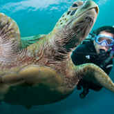 The online version of the PADI Adventures in Diving program will include knowledge development for the two required topics � the Deep and Underwater Navigation Dives � along with five of the most popular elective dives. These include Night Diver, Peak Performance Buoyancy, Wreck Diver, Boat Diver and Underwater Naturalist. | PADI eLearning