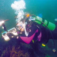 PADI Underwater Videographer Specialty Course | Show your scuba vacation adventures to your friends and family. Use your editing skills to share your clips with the world through YouTube, MySpace, Facebook and more. Use your underwater videos to turn more of your friends into dive buddies. The PADI Underwater Videographer Specialty course shows you how to create videos that are interesting, entertaining and worth watching again and again.