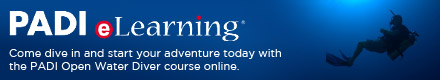 PADI eLearning | Online Diver Education Classes. | The PADI eLearning system brings student divers all the benefits of online computer based training, (eLearning) including student guidance, knowledge of results, flexibility and learner-based pacing. PADI eLearning provides the flexibility to attend knowledge development with minimal, fixed classroom time to help meet the demands of daily schedules and maximizing in water experience.