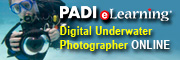 Start Your PADI Digital Underwater Photographer eLearning Course online right now | PADI eLearning