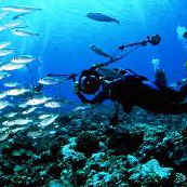 PADI Specialty Course Instructor information | http://www.padi.com