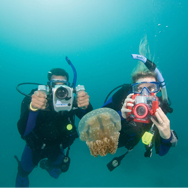 PADI Underwater Photographer Specialty manual included and yours to keep - - How far will you take this diving thing? It's up to you. With PADI Specialty Diver Programs you can chart your course for a colorful collection of awesome dives. Sure, your PADI certification opens up the oceans and lakes to you, but the PADI Specialty Dives take the underwater adventure to depths that will stir your soul. Achieving PADI Specialty ratings can take anywhere from as little as one day to a full weekend -but this is all hands-on, so you'll be diving right from the start.