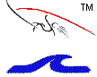Online Kiteboarding, Snowkiting Equipment and Windsurfing Equipment Store -- Wind Sports in Minnesota