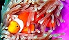 Philippines Group Dive Trip |