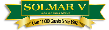 Solmar V luxury live-aboard dive vessel Cabo San Lucas, Mexico | The Revillagigedos Archipelago, more commonly called Socorro is located in the eastern Pacific Ocean approximately 250 miles south of Cabo San Lucas, Mexico � at the tip of the Baja peninsula. These islands have been compared to the Galapagos Islands in Ecuador or Cocos Island in Costa Rica because of the big animal encounters they provide. | www.solmarv.com