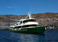 Solmar V luxury live-aboard dive vessel Cabo San Lucas, Mexico | Socorro Islands live-aboard diving | The Revillagigedos Islands consist of 4 islands � San Benedicto Island, Socorro Island, Roca Partida and Clarion. We simply call them Socorro. They are wild, remote and unpredictable and have been called the Mexican Galapagos. This area is famous for up close and personal encounters with the Giant Pacific manta ray, which can grow to 22 feet from wingtip to wingtip. We�ve been interacting with these gentle giants since 1992 and as a result of having worked with several manta researchers over the years, we have extensive ID�s on most of them and special relationships with many of them. We absolutely do not chase or ride the mantas, and we allow our interaction with them to be initiated by the mantas themselves. We believe that their continued willingness to interact with divers is due to the respect we have shown for them over the years. San Benedicto is by far the best location in the world to experience and photograph these gentle giants. The feeling of a wild animal this large deliberately interacting with you is something you will never forget. | www.solmarv.com
