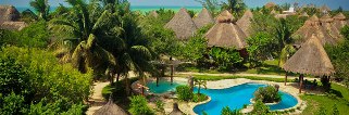 Villas Delfines, Holbox Mexico | The Hotel Villas Delfines, located since 1996 on the best beach on Isla Holbox, has 20 bungalows surrounded by beautiful gardens, a restaurant, boutique, swimming pool and lounge. If you are looking for peace and tranquility on your vacation, Isla Holbox is undoubtedly the right destination. Here, do not expect to find shopping malls, fast food restaurants or franchises. Apart from a delivery vehicle or two, cars do not circulate on the sand streets, only golf carts and bicycles. | Scuba Center Whale Shark Trip