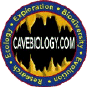 CaveBiology.com | Purpose: To document the diversity, significance and distribution of anchialine caves and cave animals. Anchialine (from Greek meaning "near the sea") refers to coastal caves formed in limestone or volcanic rock that are flooded with seawater. They include the longest submerged caves on Earth. | Cave Diving Reference Information and Links 