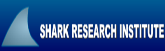 Shark Research Institute (SRI) works with the scientific community, individuals and organizations concerned about the health of our marine ecosystem, and marine resource users: subsistence fishermen, sport divers, and the dive tourism industry. Shark Research Institute works to correct misperceptions about sharks and stop the slaughter of 100 million sharks annually. | Ocean Conservation and Marine Environment References