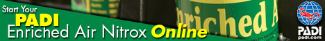 PADI Enriched Air Diver Course Online | The PADI Enriched Air Diver Specialty course is designed to prepare you to dive with EAN.  Enriched Air Nitrox  (also known as EAN, Enriched Air, on Nitrox) is a mixture of nitrogen and oxygen that has a higher percentage of oxygen and a lower percentage of nitrogen than air.  Air is approximately 21% oxygen, while the most commonly used Nitrox mixture is 32% oxygen (also known as NOAA Nitrox I or EAN32). Diving with enriched air rather than standard air can extend your no decompression limits. | PADI eLearning