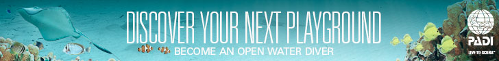 PADI Open Water Diver Certification | The Way the World Learns to Dive | The PADI (Professional Association of Diving Instructors) Open Water Diver Certification course consists of two parts: classroom and pool training, followed by four open water training dives (certification dives). Upon completion of both parts you will be certified as a PADI Open Water Diver. This beginning scuba diving certification is recognized in the US, Caribbean, Mexico, and at dive centers around the world. | PADI Five Star Instructor Development Centers meet all PADI Five Star Dive Center standards and provides the same level of service. They also meet additional training requirements and offer PADI Instructor-level training. If your goal is to become a PADI Scuba Instructor find a PADI Five Star Instructor Development Center near you, by visiting the online PADI Dive Shop Locator.