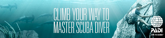 Master Scuba Diver is PADIs highest recreational diving certification. This is where the best of the best come to play because the dive possibilities are endless. To become a PADI Master Scuba Diver you must log 50 dives and complete: Open Water, Adventures in Diving, Rescue Diver, and five specialty certifications.