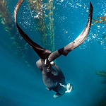 Freediving
