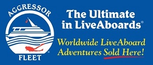 Scuba Center is proud to be an Aggressor Fleet Reseller | Aggressor Fleet was founded in 1984 with the goal of becoming the largest and most successful fleet of LiveAboard dive yachts in the world. Today Aggressor Fleet offers guests over 30 of the most fascinating scuba diving destinations in the world and the list keeps growing.