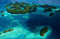 Palau’s early history is still largely veiled in mystery. Why, how or when people arrived on these beautiful islands is unknown but studies indicate that today’s Palauans are distant relatives of the Malays of Indonesia, Melanesians of New Guinea, and Polynesians. As for the date of their arrival, carbon dating of artefacts for the oldest known village sites on the Rock Islands and the spectacular terraces of Babeldaob place civilization here as early as at least 3,500 BC. | 