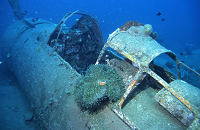 Papua New Guinea dive trip | Scuba Center group dive travel